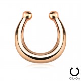 Faux-piercing septum anneau simple PVD (10)