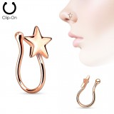 Faux piercing nez 03 - étoile