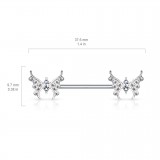 Piercing téton barbell 101 - Deux papillons strass transparents