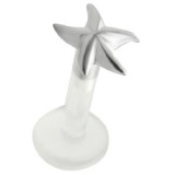 Piercing micro-labret PTFE 70 - étoile de mer