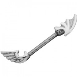 Piercing téton barbell 80 - Ailes up and down