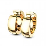 Faux Piercing oreille 41 - Clip PVD (la paire)