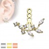 Jacket oreille 15 - Branche et zircones