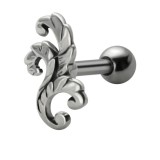 Cartilage hélix, tragus 215 - Fougère