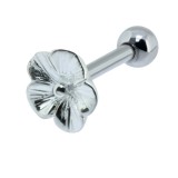 Cartilage hélix, tragus 355 - Fleur grise