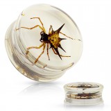 Plug acrylique avec vrai araignée