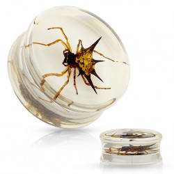 Plug acrylique avec vrai araignée