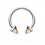 Piercing micro-circulaire 30 - Acier rasta pointes