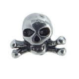 Embout Microdermal crâne B
