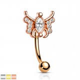 Piercing arcade 17 - Gold-ip papillon