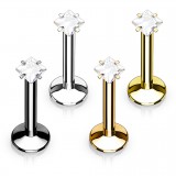 Lot de piercings micro-labrets 02 - PVD cristal carré