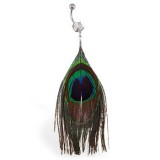 Piercing nombril plume 09 - Paon
