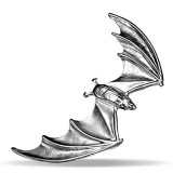 Bijou tour d'oreille 35 - Chauve-souris grise