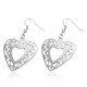 Boucles d'oreilles crochets en acier 52 - Coeur deluxe