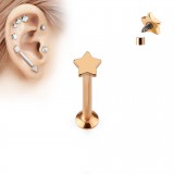 Piercing micro-labret 47 - Gold-ip rose étoile