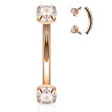 Piercing arcade 47 - Rose double cristal rond