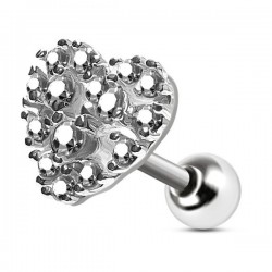 Cartilage hélix, tragus 336 - Coeur avec strass transparents