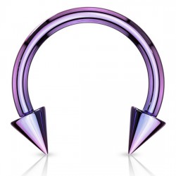 Piercing fer à cheval 06 - Plaqué-titane lilas pointes