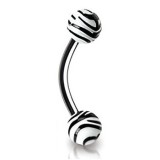 Piercing pour arcade acry 76 - Zèbre blanc