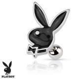 Cartilage hélix, tragus 273 - Playboy peint en noir