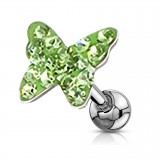 Cartilage hélix, tragus 23 - Férido papillon vert-pomme