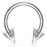 Piercing micro-circulaire 18 - Acrylique pointes transparentes