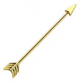 Piercing industriel 116 - PVD flèche