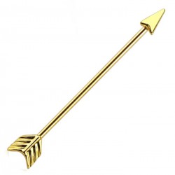 Piercing industriel 116 - PVD flèche