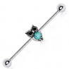 Piercing industriel 176 - Hibou avec turquoise
