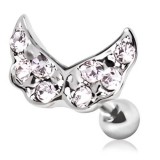 Cartilage hélix, tragus 174 - Ailes