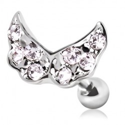 Cartilage hélix, tragus 174 - Ailes
