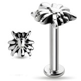 Piercing labret 17 - Spider