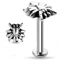 Piercing labret 17 - Spider