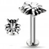 Piercing labret 17 - Araignée grise