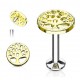 Piercing micro-labret 28 - Gold-ip jaune arbre de vie