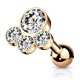 Cartilage hélix, tragus 294 - Gold-ip rose quatre cristaux transparents