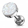 Cartilage hélix, tragus 218 - Druzy stone blanc