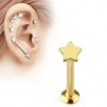 Piercing micro labret étoile gold ip jaune (47)