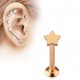 Piercing micro labret étoile Gold ip rose (47)