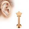 Piercing micro labret étoile Gold ip rose (47)