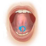 Piercing frein de la langue