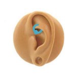 Piercing rook
