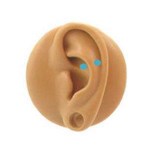 Piercing snug