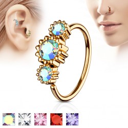 Anneau du piercing rook