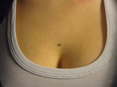  Piercing cleavage / sternum simple boule en acier 