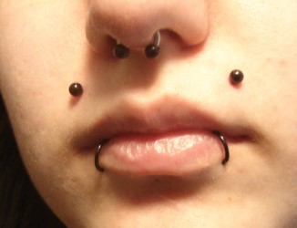 Le piercing lèvre canin bites