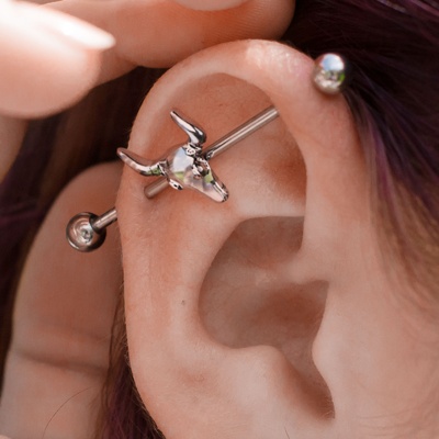  Piercing industriel avec une crane d’animal 