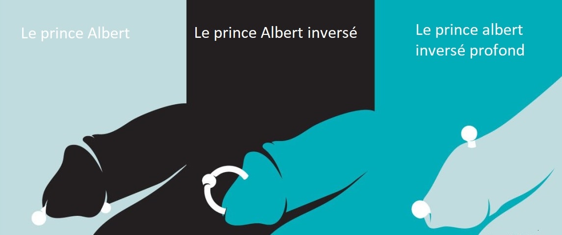 Piercing prince albert - types
