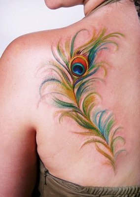  Tatouage d’une plume colorée sur l’omoplate 