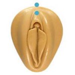 Le piercing christina